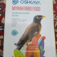 جوجه قناری