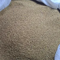 بذر یونجه همدان (درجه یک)