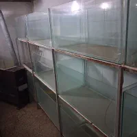 ۴۵ عدد اکواریوم پرورش ماهی زینتی|ماهی|ساوه, |دیوار