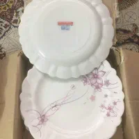 میوه خوری ایروپال و فلاکس استیل