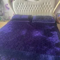 سرویس خواب|تخت و سرویس خواب|رشت, کاکتوس|دیوار