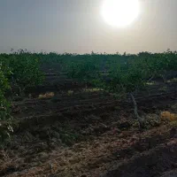 ۲۴ ساعت آب چاه موتورعمیق