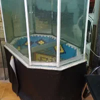حوضچه اکواریوم