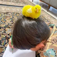 جوجه دوماهه ماشینی