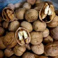 گردو درجه یک