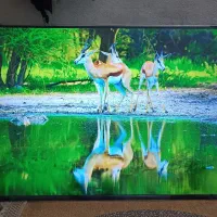 تلوزیونLED سامسونگ هوشمند کیفیت4K55اینچ