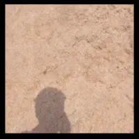 کاه نرم درجه یک گندم و جو