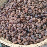 خرمای گنطار|حراج|شادگان, |دیوار