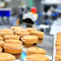 شرکت کیک کلوچه/کارگرخانم آقا،راننده،موزع،حراست|استخدام صنعتی، فنی، مهندسی|تهران, خاوران|دیوار