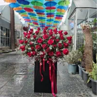 باکس گلهای لاکچری مناسبتی تولد گل ارایی دسته گل|گل و گیاه طبیعی|اصفهان, عسگریه|دیوار