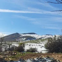 اجاره پاترول آفرود گردشگری|خدمات حمل و نقل|گرگان, |دیوار