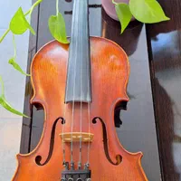 اموزش تخصصی ویولن ایرانی و کلاسیک