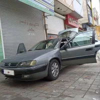 زانتیا زیتونی ۸۵