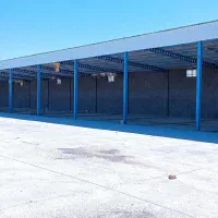 گاوداری صنعتی و باغ