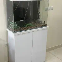 آکواریوم