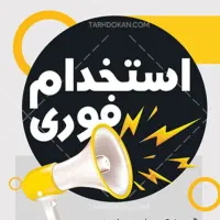 فروشنده ماهر