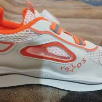 کفش درجه یک