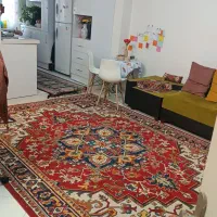 اجاره خونه چهل دو متری بازسازی شده