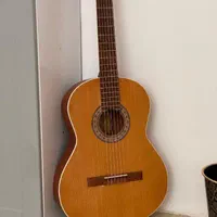 گیتار پارسی m5 نو