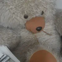 خرس بزرگ