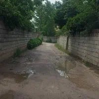 فروش زمین مسکونی،بابل  روستای اله رودبار|فروش زمین و ملک کلنگی|زرگرشهر, |دیوار