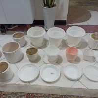 گلدان
