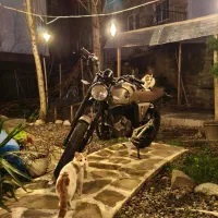 زونتس ان۲ ۲۳۰ کافه ریس