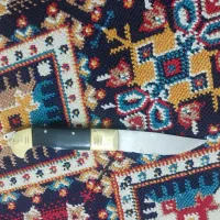 کاد دنده‌ای چاقو|کوهنوردی و کمپینگ|کرمان, |دیوار