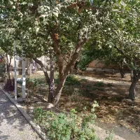 330متر-باغچه-سند-ششدانگ