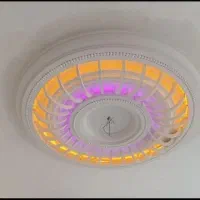 گچکاری|خدمات پیشه و مهارت|بروجرد, |دیوار