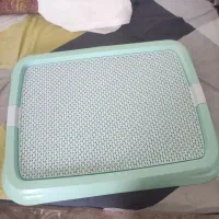 وسایل سگ پودل