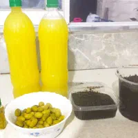 آب لیمو آب نارنج آب غوره انواع ترشی ها