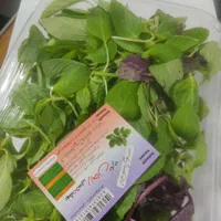 ریحون وسبزی خوردن تفاله پیاز وسبزیرخرد شده وسالاد|خوردنی و آشامیدنی|مشهد, کلاهدوز|دیوار