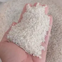 خورده برنج چمپا لیزر شده