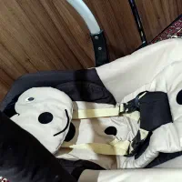 کریر نوزاد|کالسکه و لوازم جانبی|الیگودرز, |دیوار