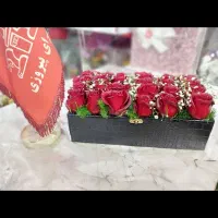 گل رز هلندی