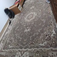 فرش فروشی سالم|فرش|ساوه, |دیوار