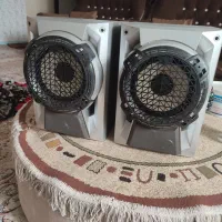 یک جفت باند سالم