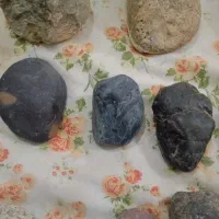 شهاب سنگ وفسیل|کلکسیون اشیاء عتیقه|پاکدشت, حصار امیر|دیوار