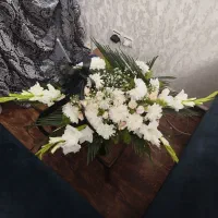 گل ترحیم نو|گل و گیاه طبیعی|تبریز, |دیوار