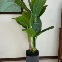 خاص ترین درختها