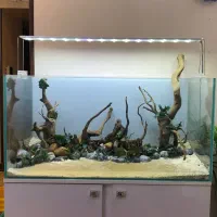 ماهی اکواریوم فیلتر پمپ اروانا دیسکس تجهیزات|ماهی|اصفهان, سرچشمه|دیوار