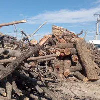 پخش عمده ذغال کبابی عقاب