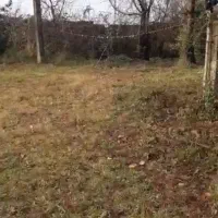 فروش قطعه زمینی به مساحت ۲۵۰۰مربع(سنددار)|فروش زمین و ملک کلنگی|رشت, لاکان شهر|دیوار