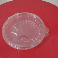 ظرف یک بار مصرف|ظروف نگهدارنده، پلاستیکی، یک‌بارمصرف|کرمان, |دیوار