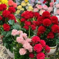 گل های مصنوعی درجه یک خارجی
