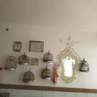 سهره قناری .سهره جوجه قفس وسهره خاکی