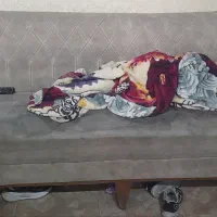 فروش دکور آرایشگاه زنانه|آرایشگاه و سالن‌های زیبایی|مشهد, موسوی قوچانی|دیوار