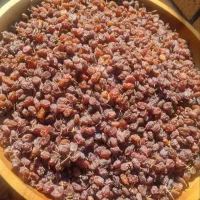 دوشاب و کشمش