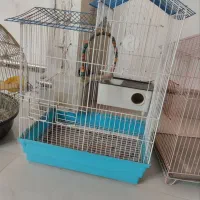 قفس|لوازم جانبی حیوانات|مشگین شهر, |دیوار